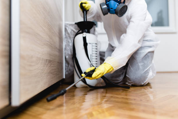 Best Residential Pest Control  in Edmonds, WA